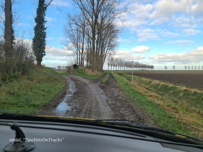 20251130-111611 20251130-111611